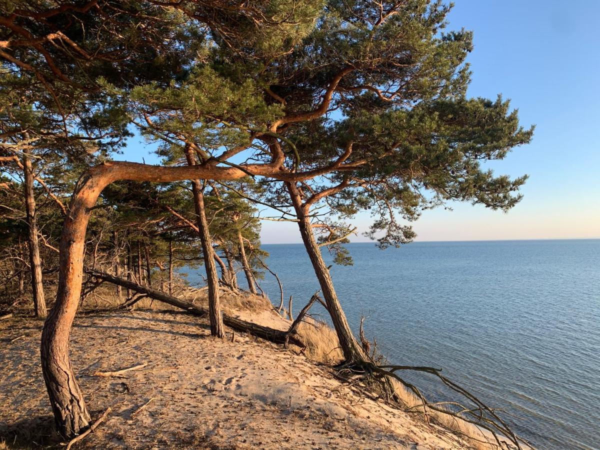 Village 2 Hel- ośrodek wśród sosen Zewnętrze zdjęcie