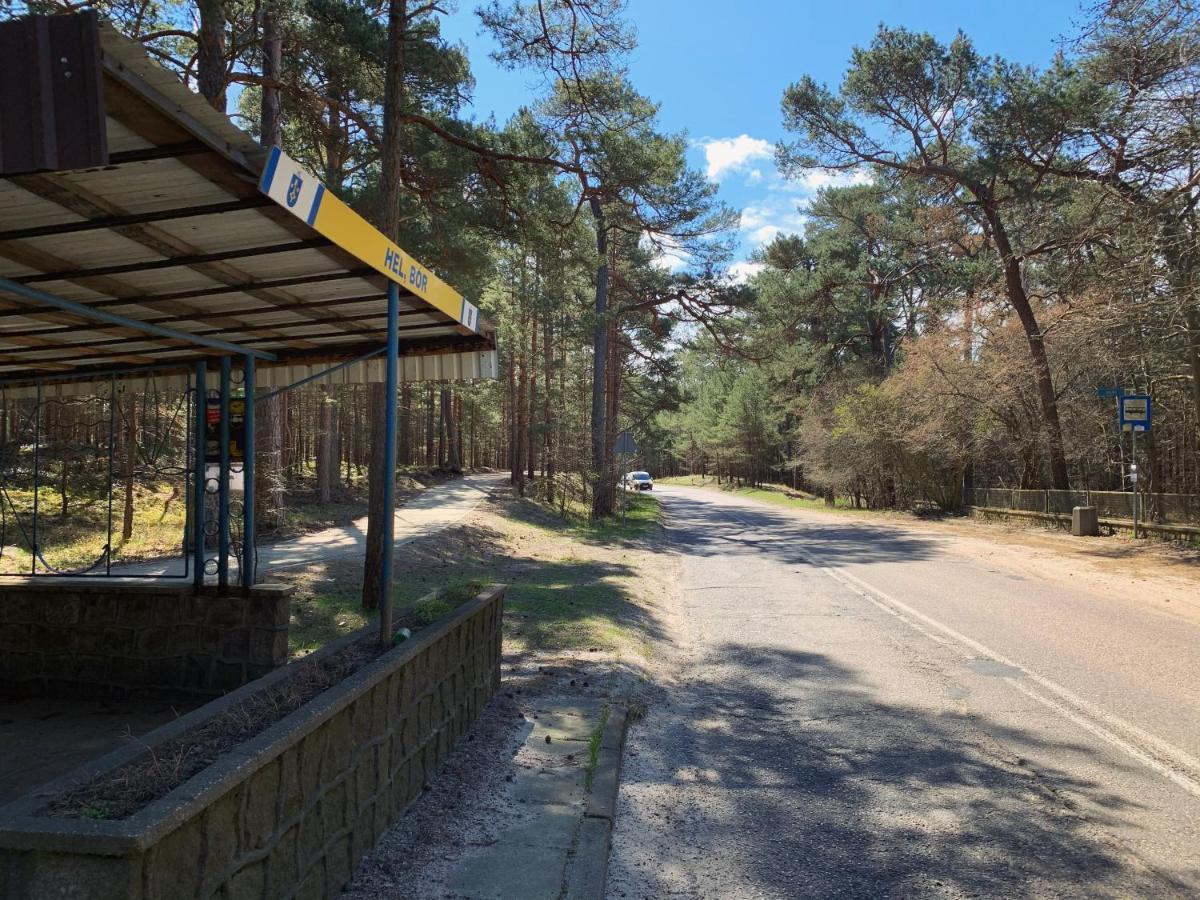 Village 2 Hel- ośrodek wśród sosen Zewnętrze zdjęcie