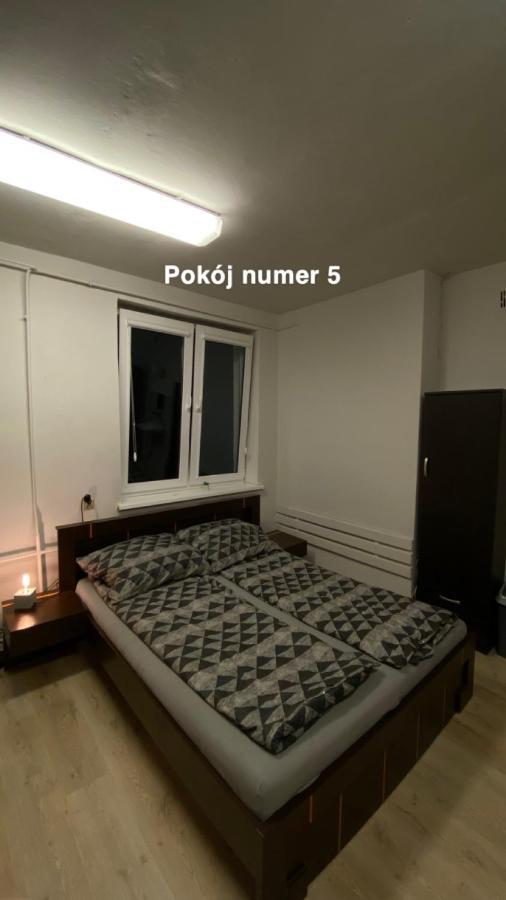 Village 2 Hel- ośrodek wśród sosen Zewnętrze zdjęcie