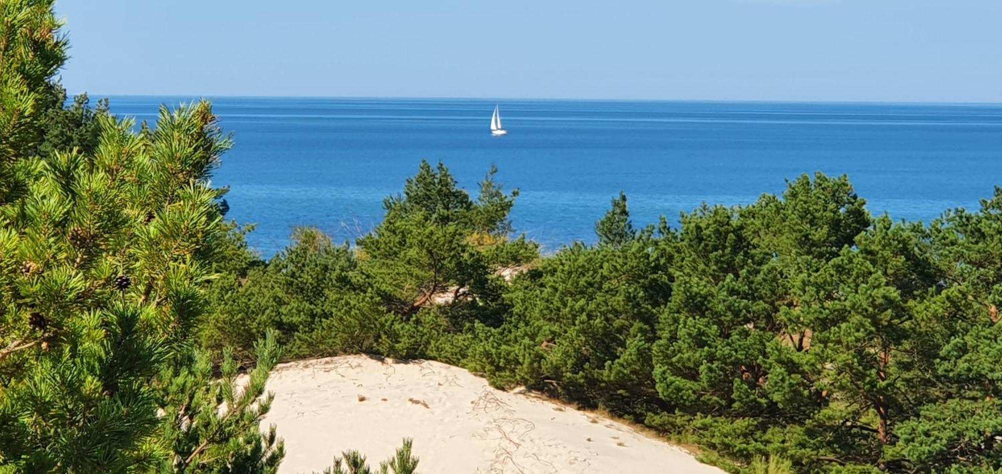 Village 2 Hel- ośrodek wśród sosen Zewnętrze zdjęcie