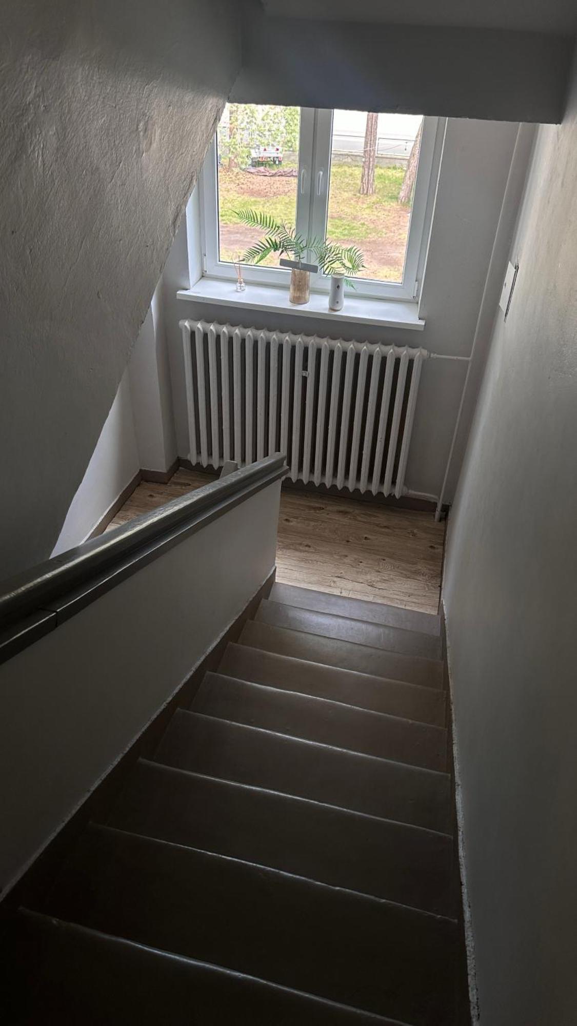 Village 2 Hel- ośrodek wśród sosen Zewnętrze zdjęcie